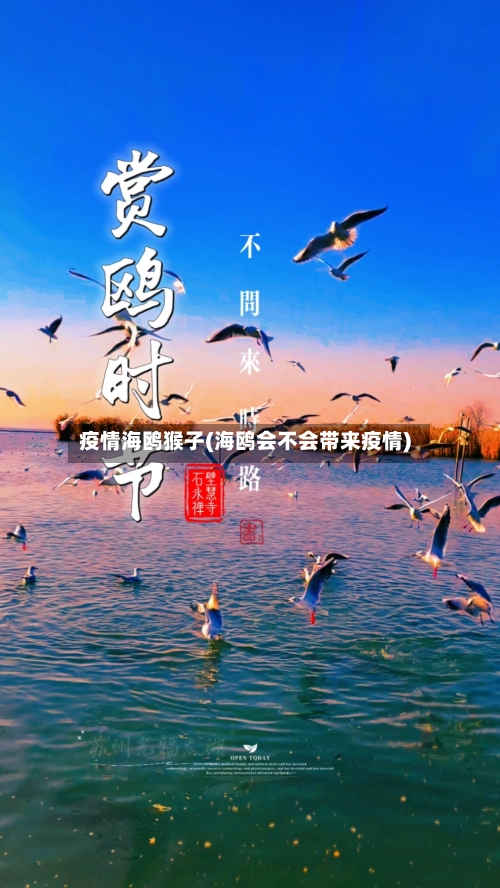 疫情海鸥猴子(海鸥会不会带来疫情)