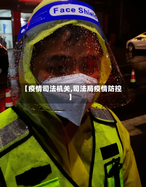 【疫情司法机关,司法局疫情防控】-第2张图片