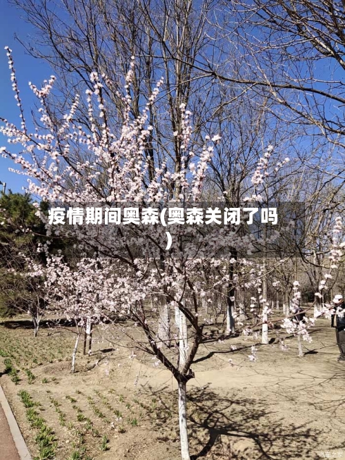 疫情期间奥森(奥森关闭了吗)