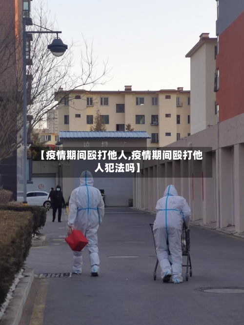 【疫情期间殴打他人,疫情期间殴打他人犯法吗】-第2张图片