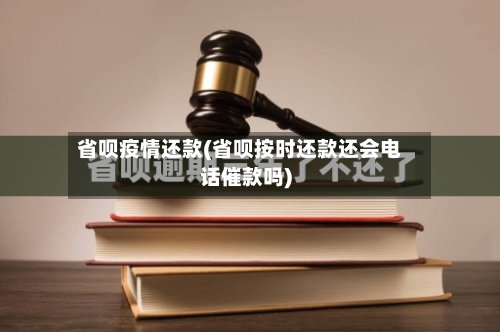 省呗疫情还款(省呗按时还款还会电话催款吗)-第2张图片