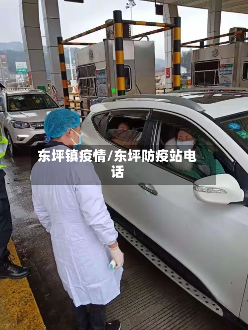 东坪镇疫情/东坪防疫站电话-第2张图片