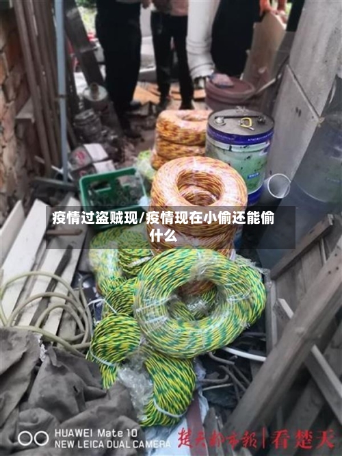 疫情过盗贼现/疫情现在小偷还能偷什么