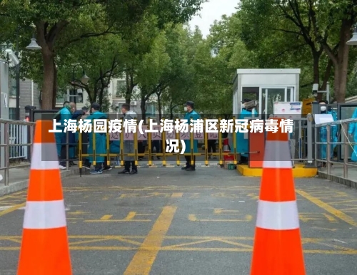 上海杨园疫情(上海杨浦区新冠病毒情况)-第2张图片