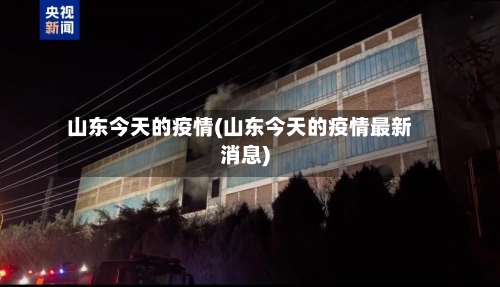 山东今天的疫情(山东今天的疫情最新消息)-第2张图片