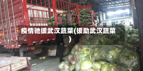 疫情驰援武汉蔬菜(援助武汉蔬菜)-第2张图片