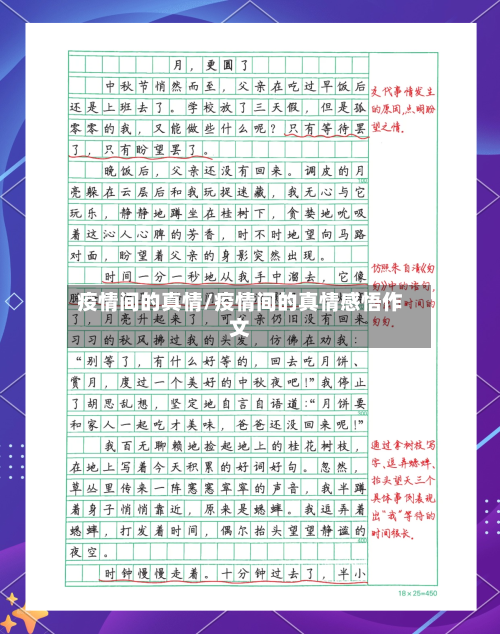 疫情间的真情/疫情间的真情感悟作文