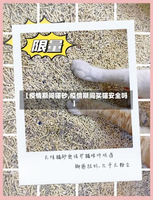 【疫情期间猫砂,疫情期间买猫安全吗】-第3张图片