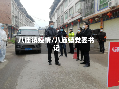 八庙镇疫情/八庙镇党委书记
