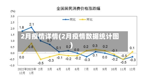 2月疫情详情(2月疫情数据统计图)