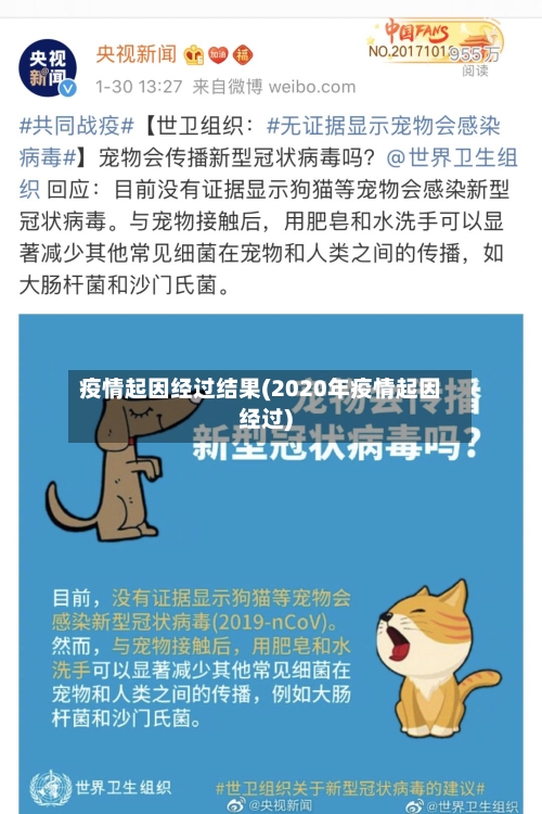 疫情起因经过结果(2020年疫情起因经过)