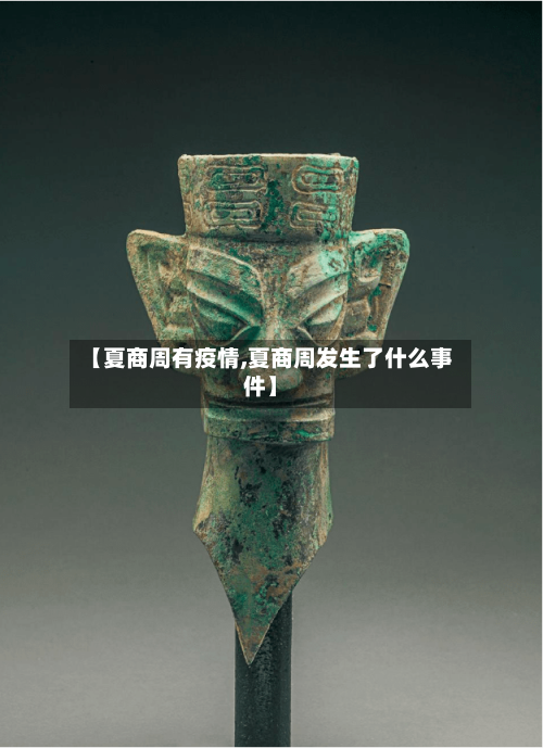 【夏商周有疫情,夏商周发生了什么事件】-第3张图片