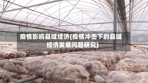 疫情影响县域经济(疫情冲击下的县域经济发展问题研究)