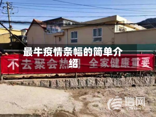 最牛疫情条幅的简单介绍