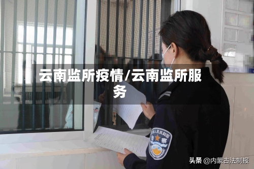 云南监所疫情/云南监所服务-第3张图片