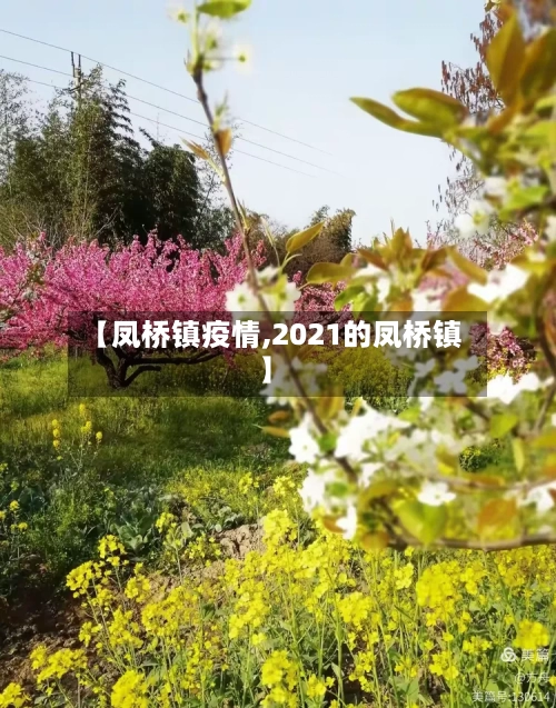 【凤桥镇疫情,2021的凤桥镇】-第3张图片