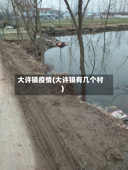 大许镇疫情(大许镇有几个村)