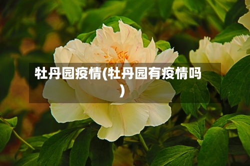 牡丹园疫情(牡丹园有疫情吗)