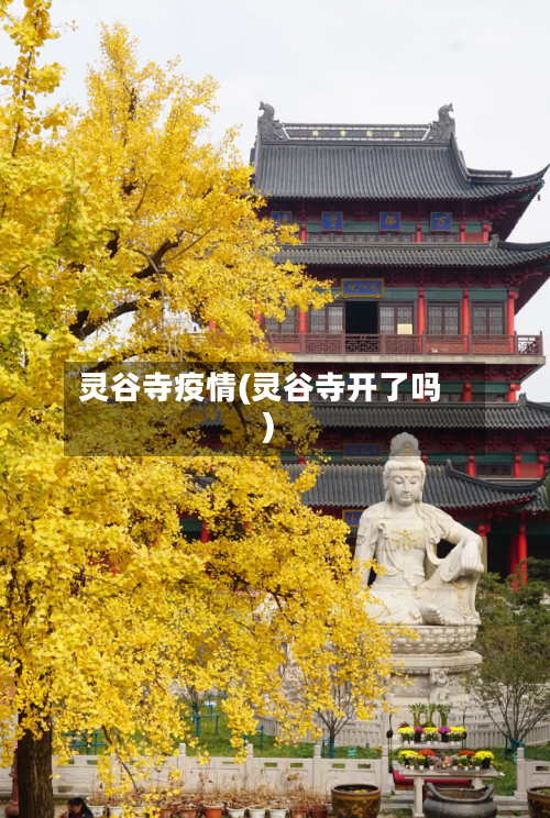 灵谷寺疫情(灵谷寺开了吗)