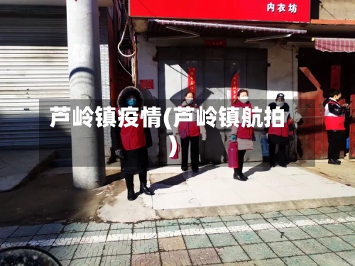 芦岭镇疫情(芦岭镇航拍)-第2张图片