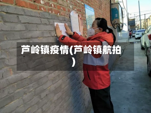 芦岭镇疫情(芦岭镇航拍)-第3张图片