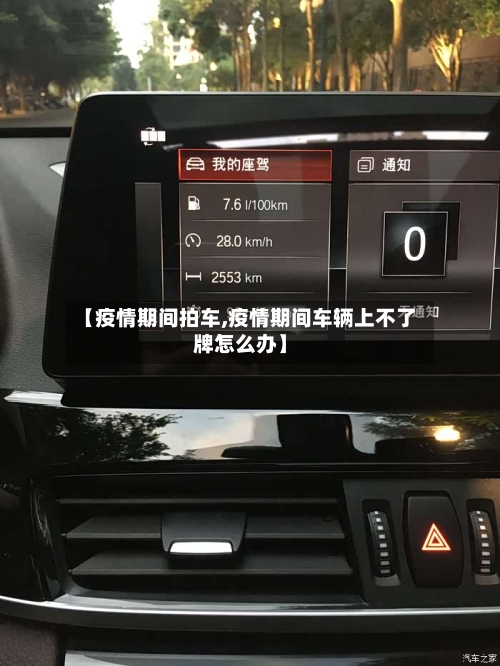 【疫情期间拍车,疫情期间车辆上不了牌怎么办】