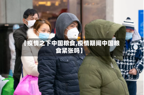 【疫情之下中国粮食,疫情期间中国粮食紧张吗】-第2张图片