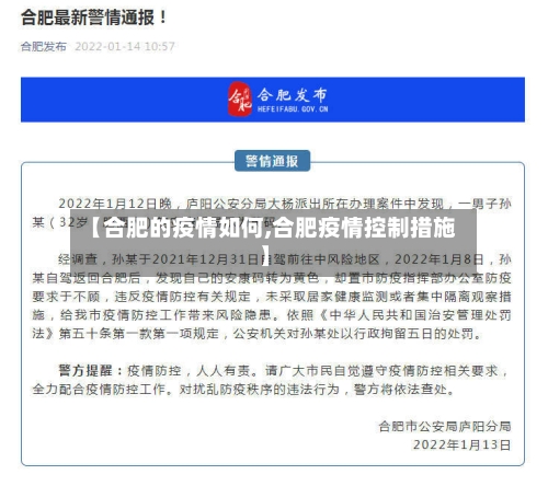 【合肥的疫情如何,合肥疫情控制措施】-第2张图片