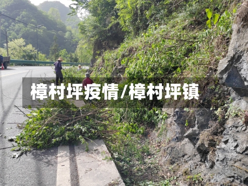 樟村坪疫情/樟村坪镇-第3张图片