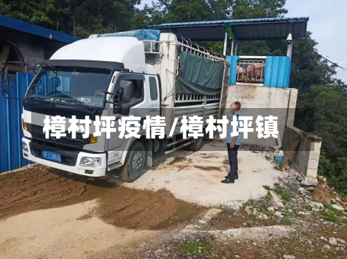樟村坪疫情/樟村坪镇-第2张图片
