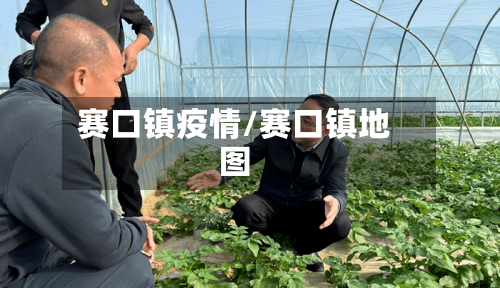 赛口镇疫情/赛口镇地图