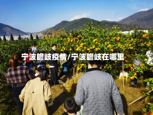 宁波瞻岐疫情/宁波瞻岐在哪里