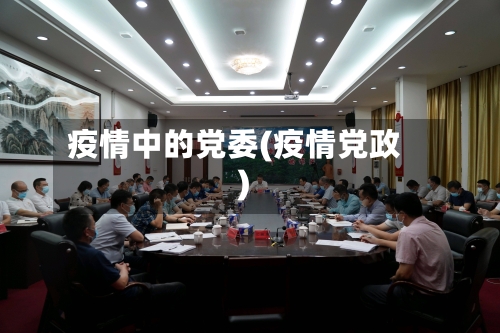 疫情中的党委(疫情党政)