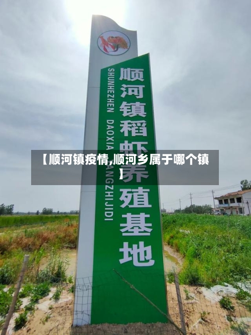 【顺河镇疫情,顺河乡属于哪个镇】