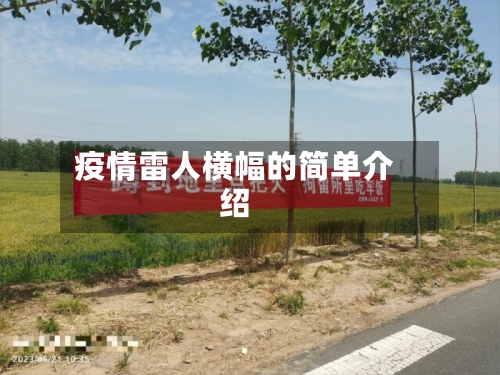 疫情雷人横幅的简单介绍-第2张图片