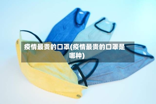 疫情最贵的口罩(疫情最贵的口罩是哪种)