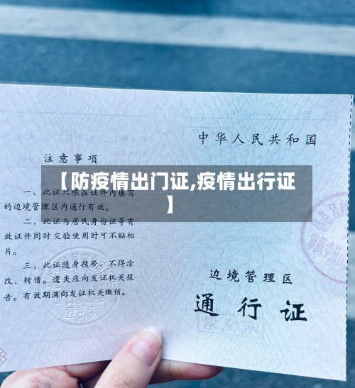 【防疫情出门证,疫情出行证】-第3张图片
