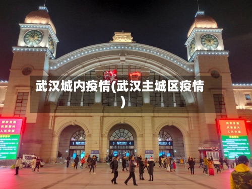 武汉城内疫情(武汉主城区疫情)