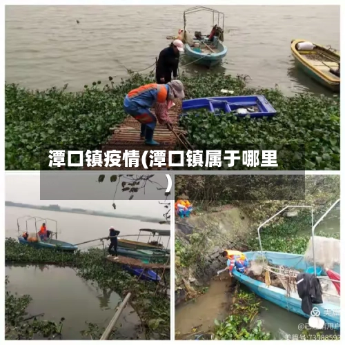 潭口镇疫情(潭口镇属于哪里)