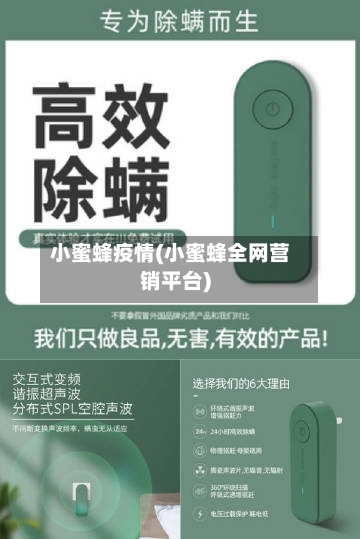 小蜜蜂疫情(小蜜蜂全网营销平台)