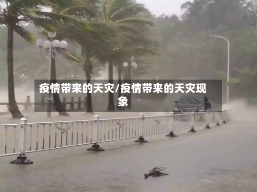 疫情带来的天灾/疫情带来的天灾现象