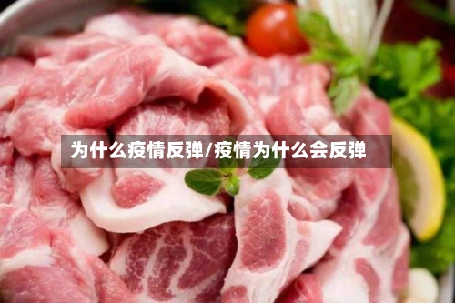 为什么疫情反弹/疫情为什么会反弹