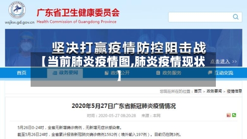【当前肺炎疫情图,肺炎疫情现状】-第3张图片