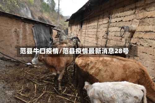范县牛口疫情/范县疫情最新消息28号-第3张图片