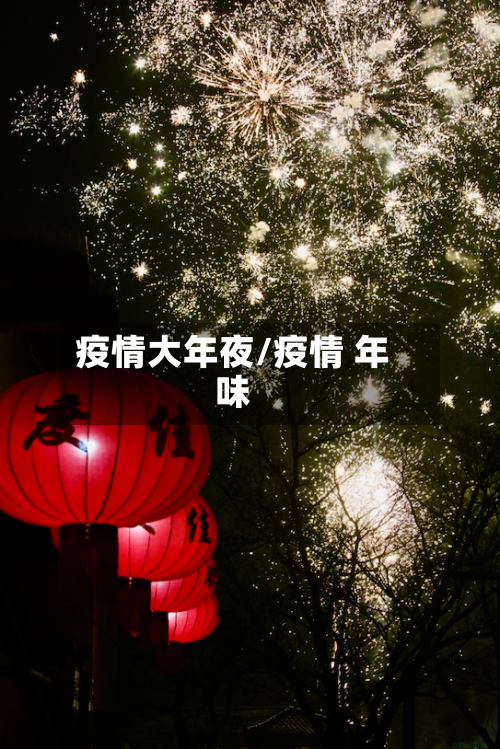 疫情大年夜/疫情 年味-第3张图片