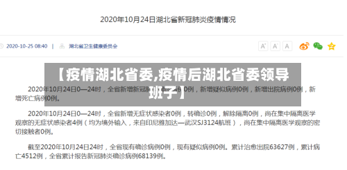 【疫情湖北省委,疫情后湖北省委领导班子】-第2张图片