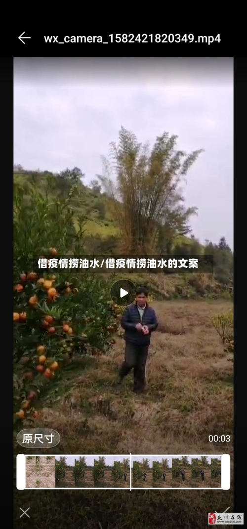 借疫情捞油水/借疫情捞油水的文案-第2张图片