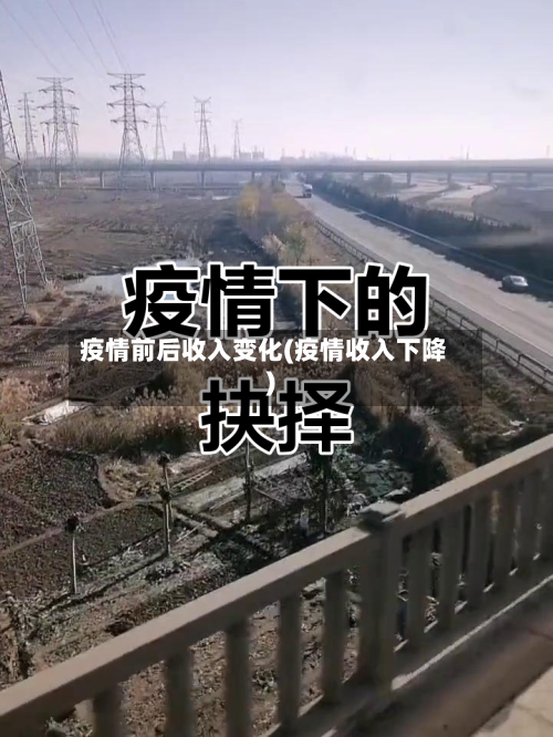 疫情前后收入变化(疫情收入下降)-第2张图片