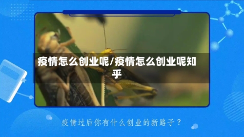 疫情怎么创业呢/疫情怎么创业呢知乎