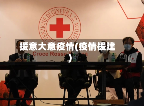 援意大意疫情(疫情援建)